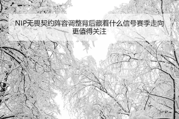 NIP无畏契约阵容调整背后藏着什么信号赛季走向更值得关注